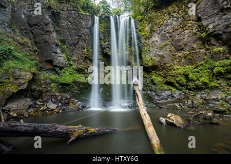 Hopetoun Falls - Great Ottway National Park, Victoria Stockfoto