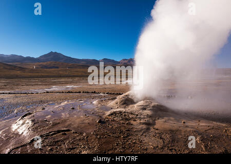 Geysir ausbrechenden Aktivität im Feld del Tatio Geysire in der Atacamawüste, Chile Stockfoto