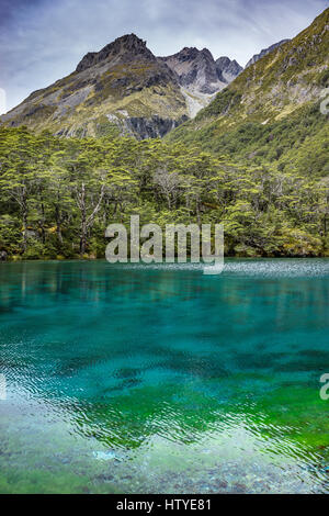 Blue Lake und Franklin Reichweite, Nelson Lakes National Park, Neuseeland Stockfoto