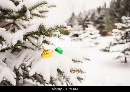 Christbaumschmuck über Schnee bedeckte Tanne im Garten Stockfoto