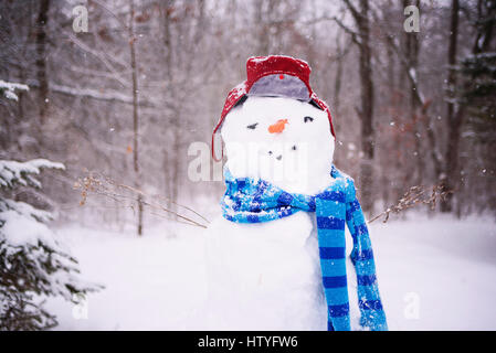 Schneemann mit einem Hut und Schal Stockfoto