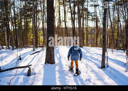 Junge, Schneeschuhwandern durch ein Birkenwald Stockfoto