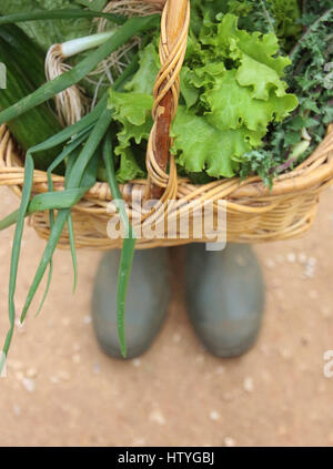 Frau, die trägt eines Korb mit frischem Gemüse Stockfoto