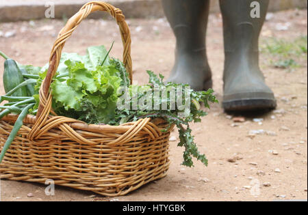 Frau stehend mit einem Korb mit frischem Gemüse Stockfoto