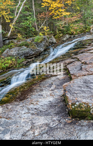 Eine von mehreren Kaskaden entlang Cascade Brook, Franconia Notch State, Park, Grafton Co., NH Stockfoto