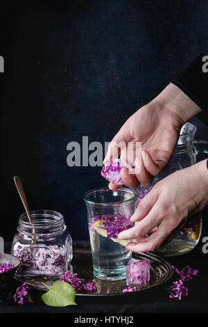 Femail Hände Eiswürfel mit Blüten in Glas lila Limonade mit Zitrone. Glas von gezuckerten lila Blumen und Krug auf schwarze Tischdecke ov Stockfoto