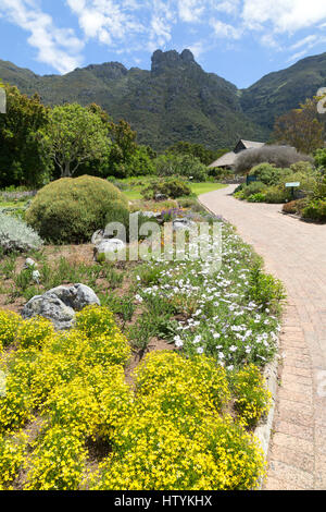 Kirstenbosch National Botanical Gardens, Cape Town, Südafrika Stockfoto