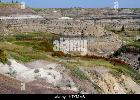 Malerische Aussicht auf Badlands, Horseshoe Canyon, Alberta, Kanada Stockfoto