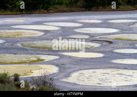 Gefleckte See, eine Kochsalzlösung abflusslose Laugensee, nordwestlich von Osoyoos in der östlichen Similkameen Valley, British Columbia, Kanada Stockfoto