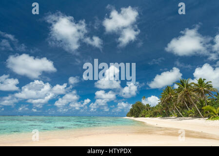 Sandstrand mit Palmen Bäume, Rarotonga, Cook-Inseln Stockfoto