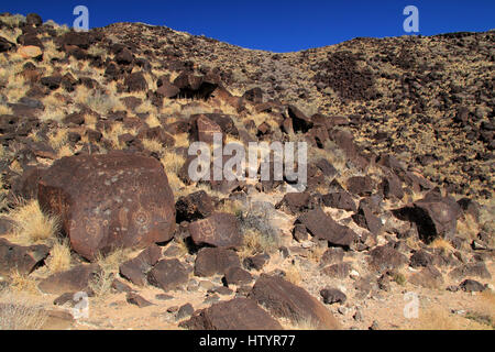 Alte indianische Felszeichnungen am Petroglyph National Monument in Albuquerque, New Mexico Stockfoto