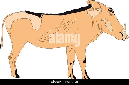 Porträt von ein Warzenschwein, Seitenansicht Stock Vektor