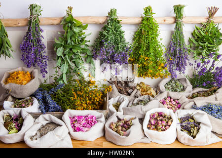 Heilende Heilpflanzen Stockfoto