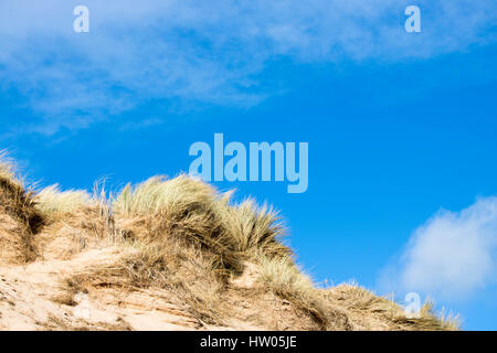 Grasbewachsenen Sanddünen vor blauem Himmel und Wolken Stockfoto