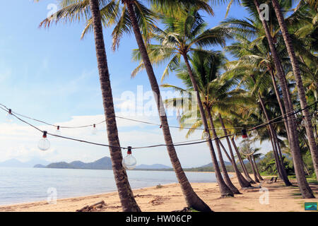 Außenbeleuchtung mit großen klare Glühbirnen aufgereiht zwischen Palmen säumen den Strand vor eines der Top-Resort-Hotels in Palm Cove Stockfoto