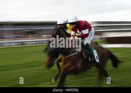 Cheltenham, Vereinigtes Königreich. 14. März 2017. Eindrücke von 2017 Cheltenham Festival - Tag eins an Cheltenham Racecourse / Großbritannien.: Langzeitbelichtung eines Läufers.  Bildnachweis: Dpa picture Alliance/Alamy Live News Stockfoto