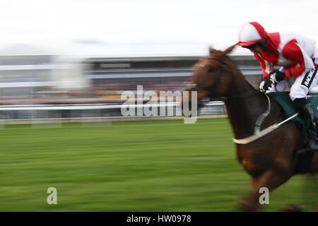 Cheltenham, Vereinigtes Königreich. 14. März 2017. Eindrücke von 2017 Cheltenham Festival - Tag eins an Cheltenham Racecourse / Großbritannien.: Langzeitbelichtung eines Läufers.  Bildnachweis: Dpa picture Alliance/Alamy Live News Stockfoto