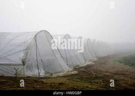 Tuesley Pereulok, Godalming. 16. März 2017. Dichter Nebel gehüllt den Home Counties heute Morgen als Nachttemperaturen getaucht. Dichter Nebel in Godalming in Surrey. Bildnachweis: James Jagger/Alamy Live News Stockfoto