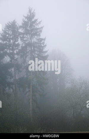 Tuesley Pereulok, Godalming. 16. März 2017. Dichter Nebel gehüllt den Home Counties heute Morgen als Nachttemperaturen getaucht. Dichter Nebel in Godalming in Surrey. Bildnachweis: James Jagger/Alamy Live News Stockfoto