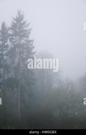 Tuesley Pereulok, Godalming. 16. März 2017. Dichter Nebel gehüllt den Home Counties heute Morgen als Nachttemperaturen getaucht. Dichter Nebel in Godalming in Surrey. Bildnachweis: James Jagger/Alamy Live News Stockfoto