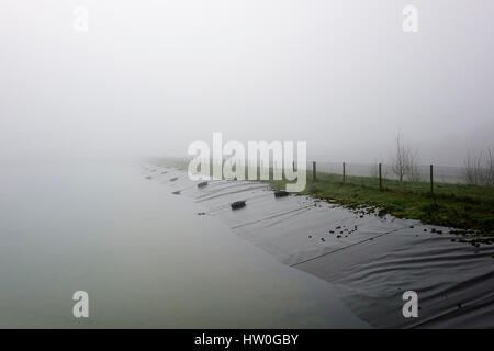 Tuesley Pereulok, Godalming. 16. März 2017. Dichter Nebel gehüllt den Home Counties heute Morgen als Nachttemperaturen getaucht. Dichter Nebel in Godalming in Surrey. Bildnachweis: James Jagger/Alamy Live News Stockfoto