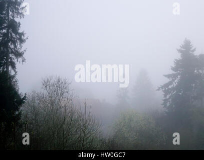 Tuesley Pereulok, Godalming. 16. März 2017. Dichter Nebel gehüllt den Home Counties heute Morgen als Nachttemperaturen getaucht. Dichter Nebel in Godalming in Surrey. Bildnachweis: James Jagger/Alamy Live News Stockfoto