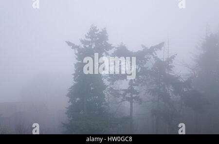 Tuesley Pereulok, Godalming. 16. März 2017. Dichter Nebel gehüllt den Home Counties heute Morgen als Nachttemperaturen getaucht. Dichter Nebel in Godalming in Surrey. Bildnachweis: James Jagger/Alamy Live News Stockfoto