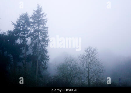 Tuesley Pereulok, Godalming. 16. März 2017. Dichter Nebel gehüllt den Home Counties heute Morgen als Nachttemperaturen getaucht. Dichter Nebel in Godalming in Surrey. Bildnachweis: James Jagger/Alamy Live News Stockfoto