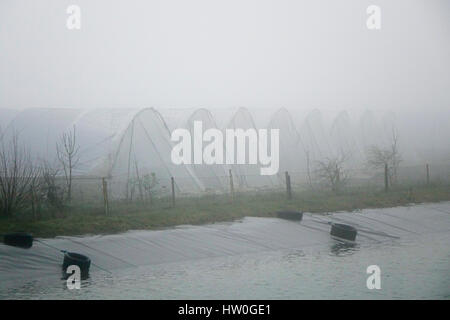 Tuesley Pereulok, Godalming. 16. März 2017. Dichter Nebel gehüllt den Home Counties heute Morgen als Nachttemperaturen getaucht. Dichter Nebel in Godalming in Surrey. Bildnachweis: James Jagger/Alamy Live News Stockfoto