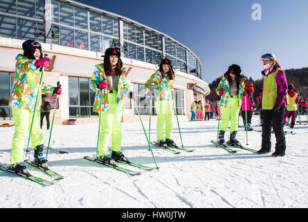 (170316)--WUHAN, 16 März, 2017(Xinhua)--Foto am 30. Dezember 2016 zeigt, dass mehrere Touristen lernen Skifahren im Skigebiet Shennongjia in Shennongjia, Zentral-China Hubei Provinz.     Halten eine solide und stetigen Tempo der Entwicklung, der chinesischen Sport boomte Industrie im Jahr 2016. Die National Fitness-Programm (2016-2020) und 13. fünf-Jahres-Plan auf der Sportbranche wurden beide im Jahr 2016 eine klare Richtung für Chinas nationale Strategie öffentliche Fitness und die Entwicklung der Sportindustrie zu gewährleisten bieten herausgegeben. Stockfoto