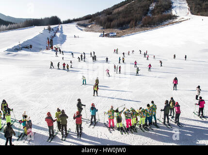 (170316)--WUHAN, 16 März, 2017(Xinhua)--Foto aufgenommen am 30. Dezember 2016 zeigt, dass Touristen in Shennongjia Skigebiet in Shennongjia, Zentral-China Hubei Provinz ski. Halten eine solide und stetigen Tempo der Entwicklung, der chinesischen Sport boomte Industrie im Jahr 2016. Die National Fitness-Programm (2016-2020) und 13. fünf-Jahres-Plan auf der Sportbranche wurden beide im Jahr 2016 eine klare Richtung für Chinas nationale Strategie öffentliche Fitness und die Entwicklung der Sportindustrie zu gewährleisten bieten herausgegeben. Stockfoto