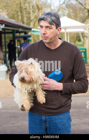 Hunde spielen in Bute Park, Cardiff mit ihren Besitzern. Stockfoto