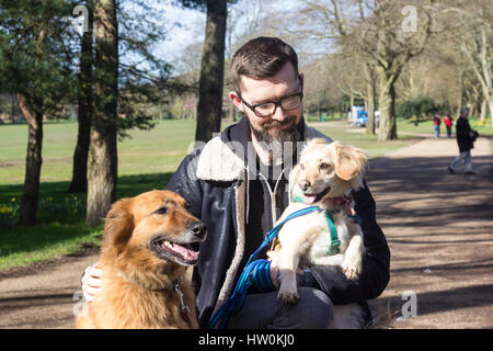 Hunde spielen in Bute Park, Cardiff mit ihren Besitzern. Stockfoto