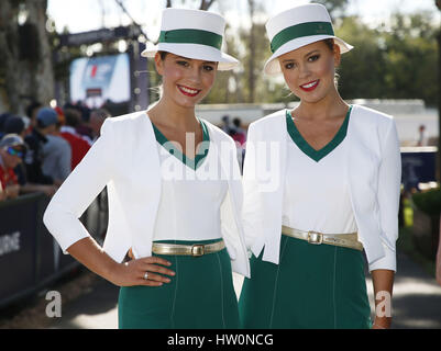 Melbourne, Australien. 23. März 2017. Motorsport: FIA Formel 1 World Championship 2017, Grand Prix von Australien, Credit: Dpa/Alamy Live-Nachrichten Stockfoto