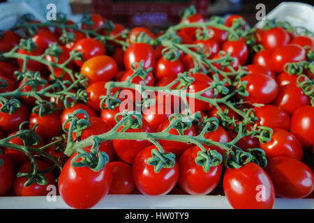 Frische reife rote Tomaten in Boxen im Großhandel Markt bereit für den Einzelhandel Stockfoto