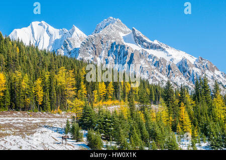 Highwood Pass, Peter Lougheed Provincial Park, Kananaskis, Alberta Stockfoto