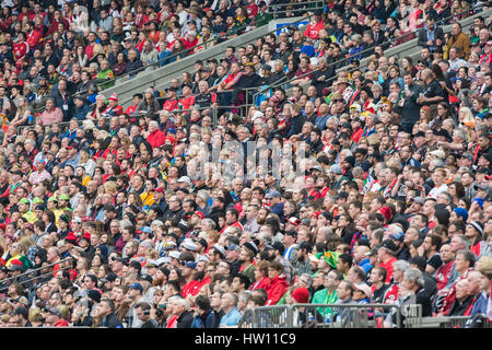 Rugby-Sport-Fans in einem Hallenstadion. Stockfoto