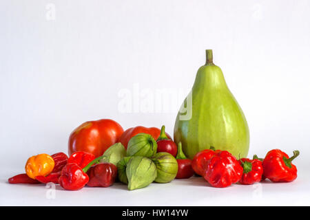 Ausgewähltes Gemüse - Kürbis amerikanisch, Paprika, Tomaten, tomatillo Stockfoto