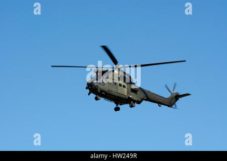 RAF Puma Helikopter Staverton Airfield, Gloucestershire, UK (ZJ955) Stockfoto