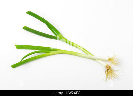 Frischer Schnittlauch auf weißem Hintergrund Stockfoto