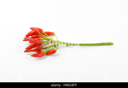 Handvoll frische rote Chilischoten auf weißem Hintergrund Stockfoto