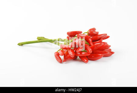 Handvoll frische rote Chilischoten auf weißem Hintergrund Stockfoto