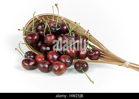 Kirschen-Stack in Frucht-Picker gemacht von einer Weide Kugel befestigt lange auf weißem Hintergrund zu umgehen. Stockfoto