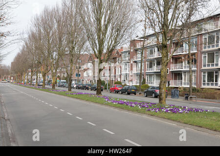 Street View und Gehäuse Fläche während Frühling - März 2017 Groningen Niederlande Stockfoto