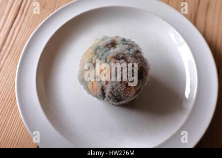 Einen verschimmelten Kuchen auf einen Teller. Stockfoto