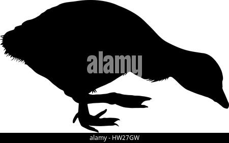 Silhouette eines Graylag Gans Huhn Stock Vektor