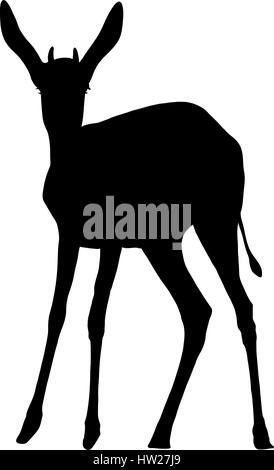 Silhouette der eine stehende Springbock Antilope Stock Vektor