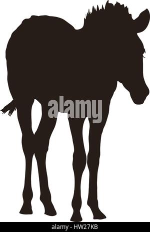 Silhouette des Hartmann-Bergzebras Stock Vektor