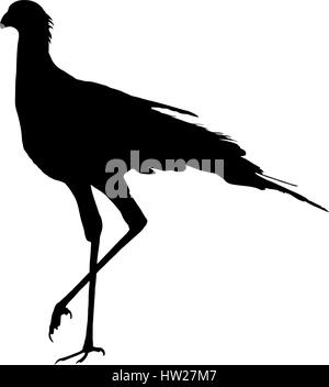 Sekretär Vogel, walking-Silhouette Stock Vektor