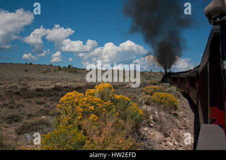 Wildblumen im Vordergrund einer Szene Colorado mit Dampf Zug im Hintergrund. Stockfoto